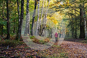 Man with red jacket hiking in the forest