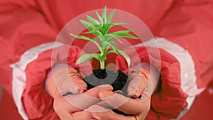 Man in red protective suit holding soil and a green young plant in hands