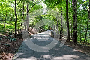 A man in a red shirt riding along a smooth concrete hiking path in the forest surrounded by lush green trees at Lullwater Preserve