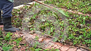 A man removes last year`s fallen leaves from strawberry beds in his summer cottage