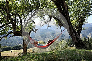 Man resting in hammock outdoors on sunny day