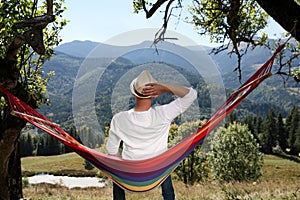 Man resting in hammock outdoors on sunny day, back view