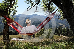 Man resting in hammock outdoors on sunny day, back view