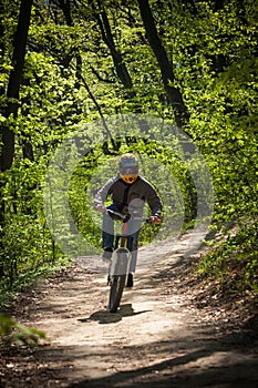Man ride mountain bike through forest