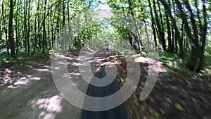 Man rides a bicycle in the woods