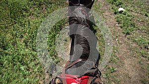 A man rides a horse top view. A riding horse goes on the farm.