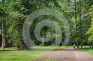 A man rides a motobike into the forest.