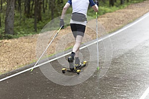 A man rides roller skis in a summer park.Fitness on the street
