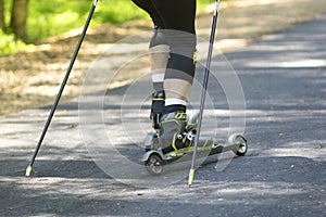 A man rides a ski roller on an asphalt road in the Park in the summer