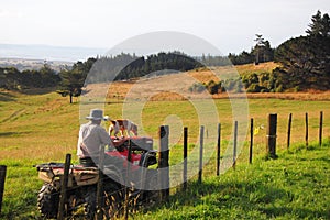 Man riding atv with dog alone fence rural area