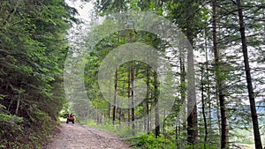 Man riding on the ATV Quad Bike on the mountains road. Tourist on quad bike on beautiful nature background. People