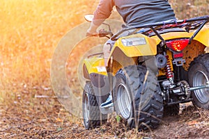 Man riding an ATV quadbike in a beautiful autumn pine forest wit