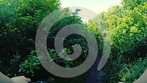 Man riding bicycle on dirt path in forest on sunny summer day. Person cycling