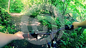 Man riding bicycle on dirt path in forest on sunny summer day. Person cycling