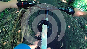 Man riding bicycle on dirt path in forest on sunny summer day. Person cycling