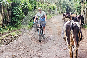 Man, riding bicycle in the highlands of Guatemala.