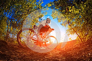 Man riding a bicycle in nature