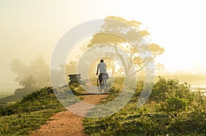 Man riding bicycle on a path in natural area with mist