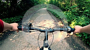 Man riding bike on road in forest on summer sunny day. Person riding bicycle