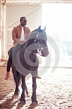 Man riding brown horse on countryside