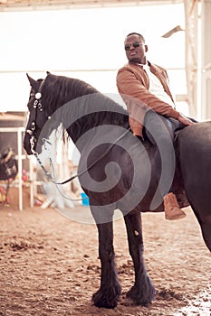 Man riding brown horse on countryside