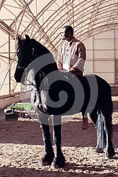 Man riding brown horse on countryside