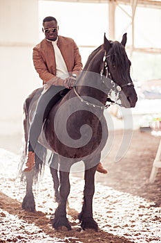 Man riding brown horse on countryside