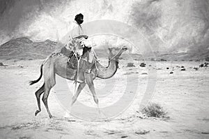 Man riding camel