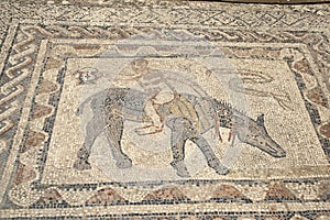 Man riding donkey backward mosaic in roman villa