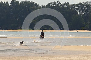 Man Riding Horse on beach ocean wave and dog running follow