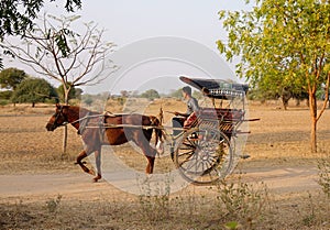 A man riding horse cart on street in Bagan, Myanmar