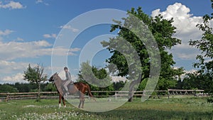 The man riding on the horse on green meadow