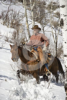 Man Riding a Horse the Snow