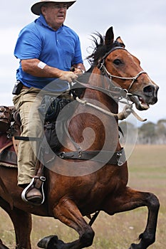 Man riding horse at speed