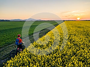 Man riding mountain bike on country road between yellow colza fields, drone side view