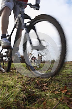 Man Riding Mountain Bike With Dog