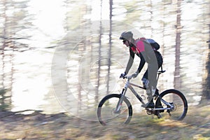 Man riding a mountain bike in a forest on a sunny day