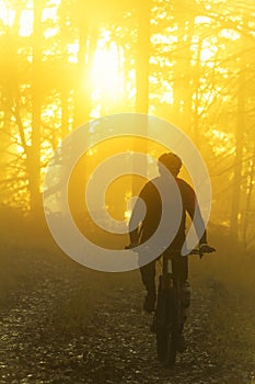 Man riding a mountain bike in a forest at sunrise or sunset