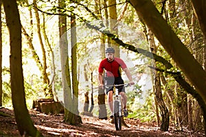 Man Riding Mountain Bike Through Woods