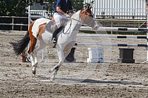 Man riding a pinto horse