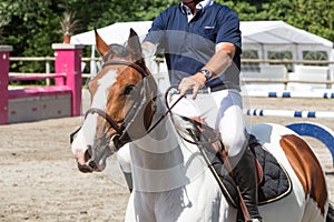 Man riding a pinto horse