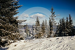 A man riding skis down a snow covered slope