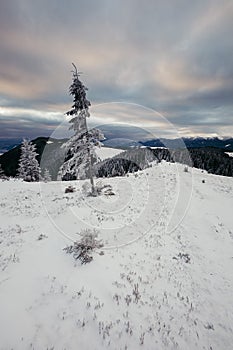 A man riding a snowboard down a snow covered slope