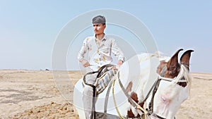 Man riding a white horse in an open field with a clear sky and desert in the background