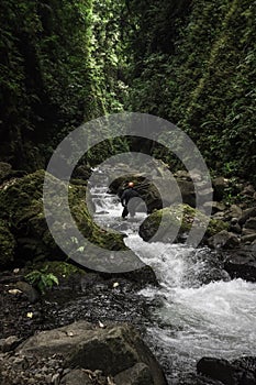 Man in a riverbed surrounded by vegetation in the middle of the humid tropical jungle of Costa Rica