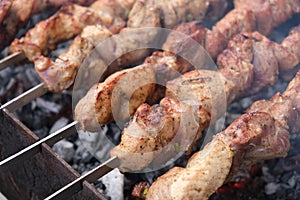 a man roasts meat on a fire. Close-up of hands and barbecue.