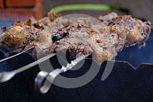 a man roasts meat on a fire. Close-up of hands and shish kebab. Cooking pork neck on the grill. Roasted carrots.