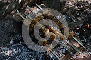 a man roasts meat on a fire. Close-up of hands and shish kebab. Cooking pork neck on the grill. Roasted carrots. Fatty food