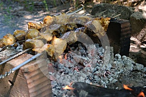 a man roasts meat on a fire. Close-up of hands and shish kebab. Cooking pork neck on the grill. Roasted carrots. Fatty food