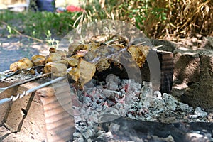 a man roasts meat on a fire. Close-up of hands and shish kebab. Cooking pork neck on the grill. Roasted carrots. Fatty food